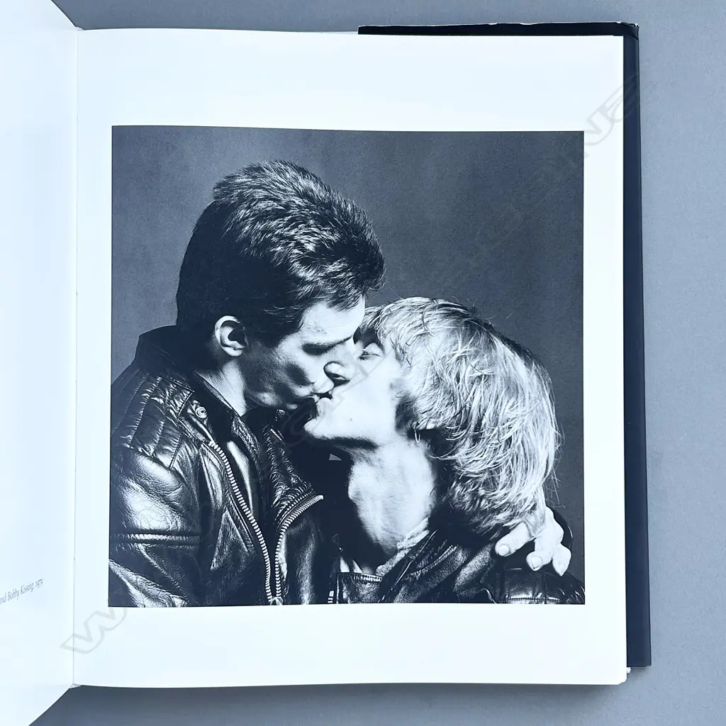 ROBERT MAPPLETHORPE: PICTURES Image 1++